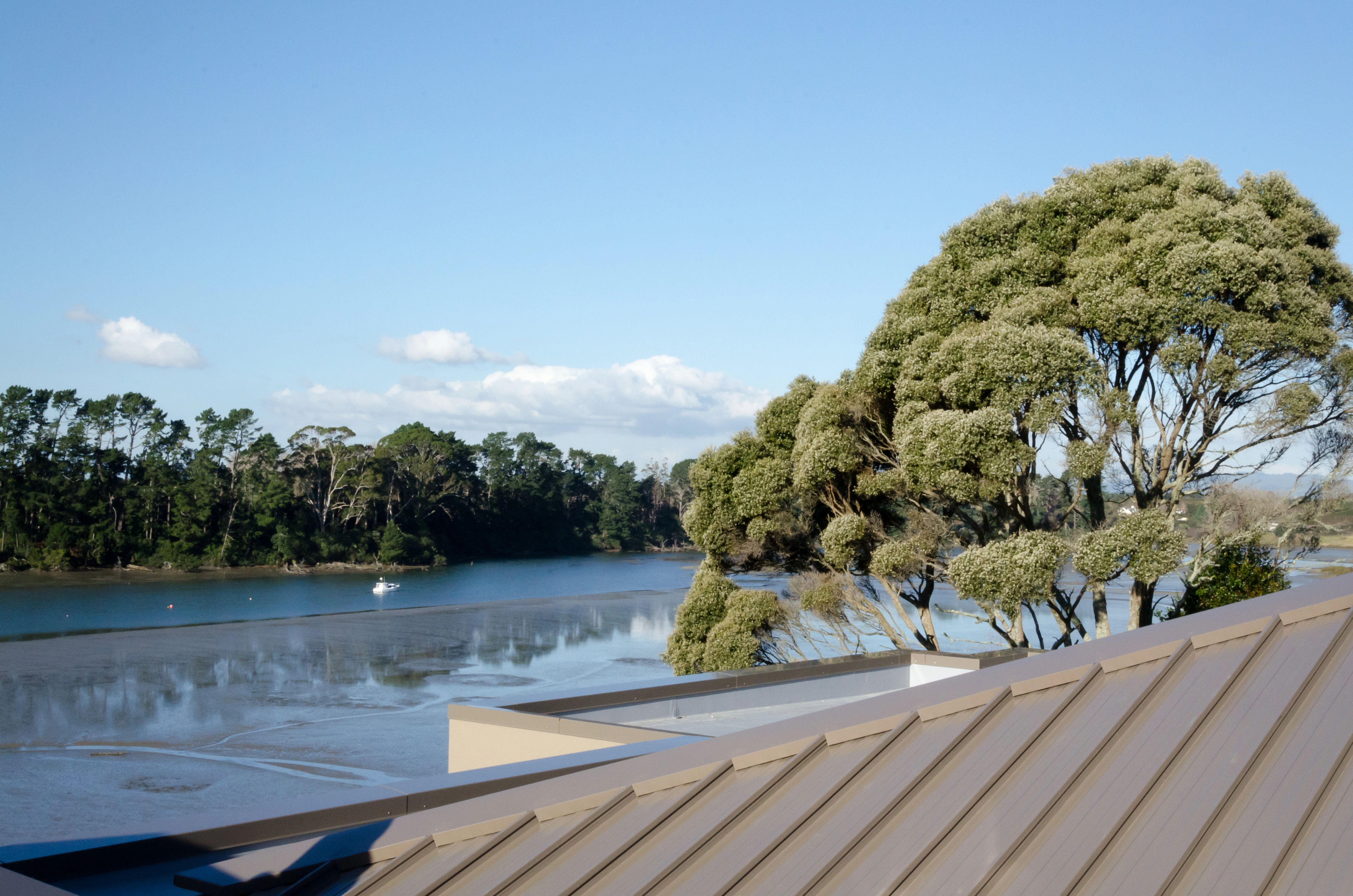 New roof of a house and view of the green trees